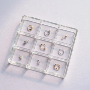 Illustrative styling image of nose rings and studs